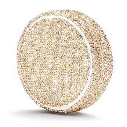 Champagne Gold Portable Case Pouch Container