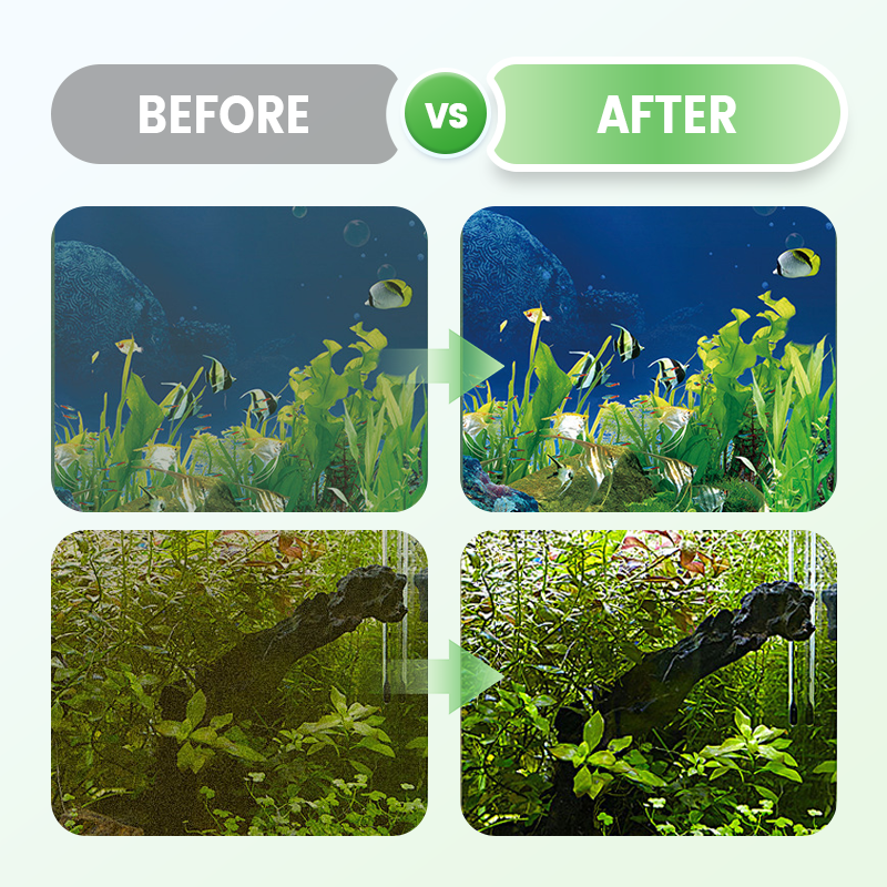 Mini Magnetic Aquarium Glass Cleaner