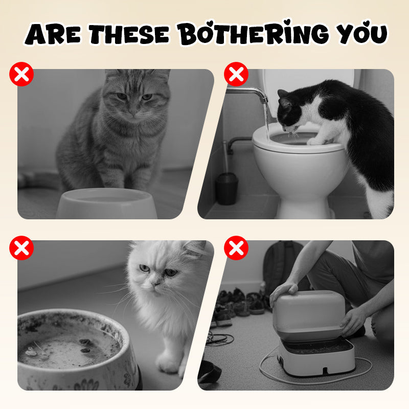 Gamelle murale pour chat en forme de toilette