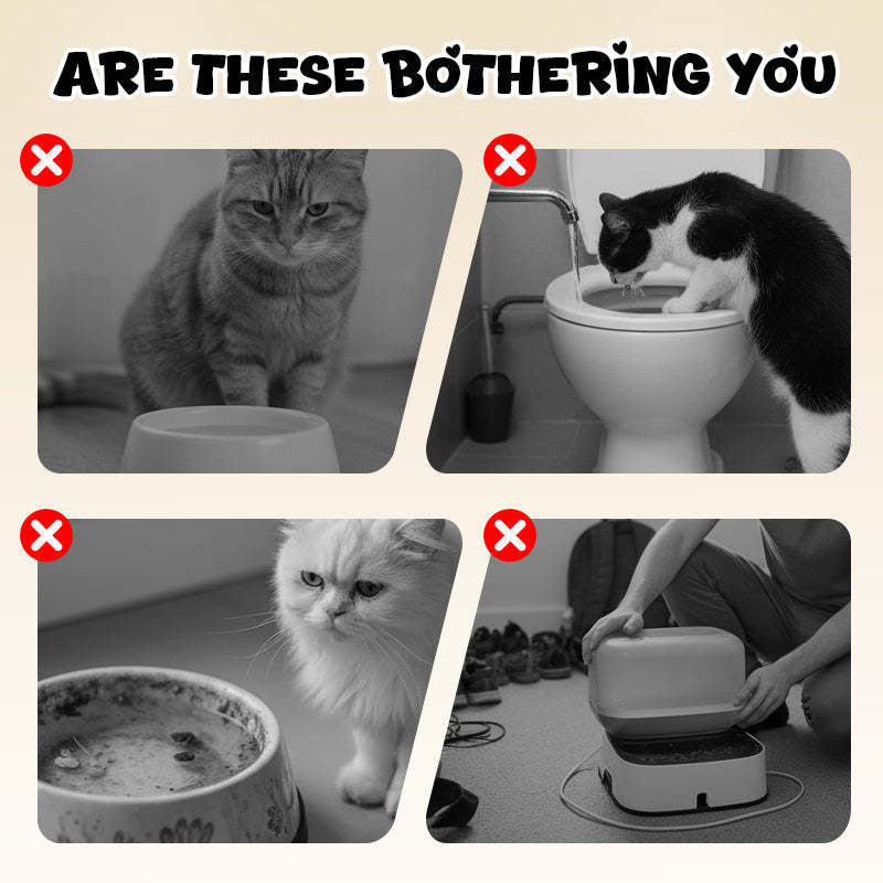 Gamelle murale pour chat en forme de toilette