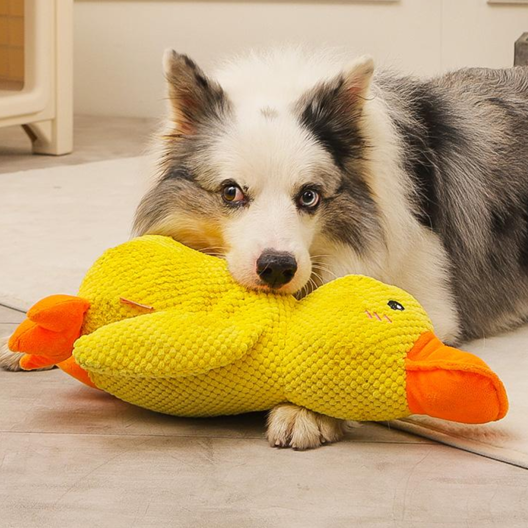 💖🦆 Adorable Duck Squeaky Toys for Dogs 🦆💖 A Joyful Playmate for Yo