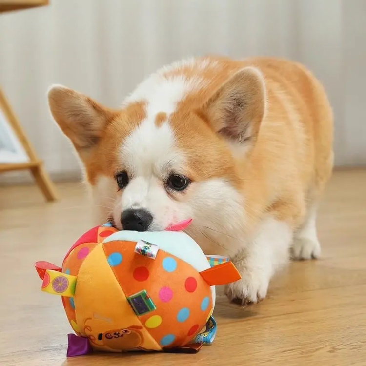 🐶Valentine's Day discount: 60% off! Corgi-Approved Plush Bell Ball = Pup Obsession! 🎁