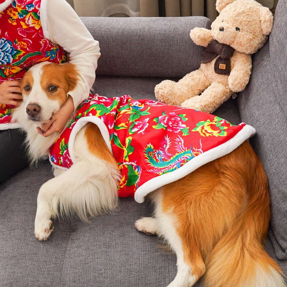 🎁Valentine's Day Sale 49% OFF🎅🎇 Family Ties, Fu in Style: Match Your Pet in Auspicious New Year Jackets