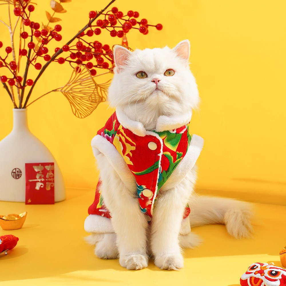 🎁Valentine's Day Sale 49% OFF🎅🎇 Family Ties, Fu in Style: Match Your Pet in Auspicious New Year Jackets