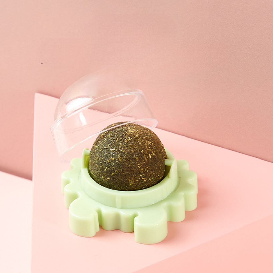 🎁Valentine's Day  Sale 60% OFF🚨 1st 200 Orders Only: 3-Pack 🚨 | Stock Runs Out Fast! ⏳