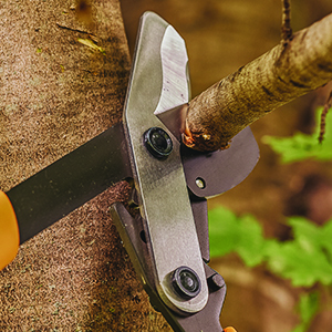 Fiskars 32 hüvelykes ágvágó faápoláshoz, nagy teherbírású, alacsony súrlódású éles acél penge, akár 2 hüvelyk (kb. 5 cm) átmérőjű ágak vágására, PowerGear2 technológiával, amely nagyobb erőt biztosít kevesebb erőfeszítéssel