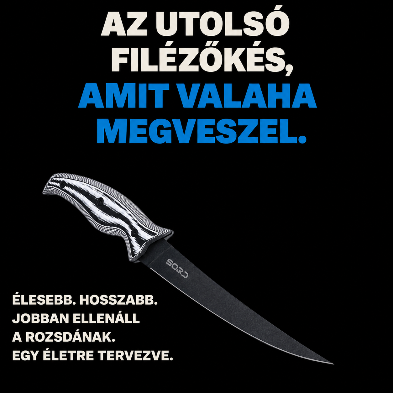 AZ UTOLSÓ FILÉZŐKÉS, AMIT VALAHA VESZEL.