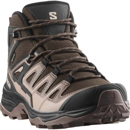 Chaussures Salomon X Ultra Pioneer 2 Mid GTX W