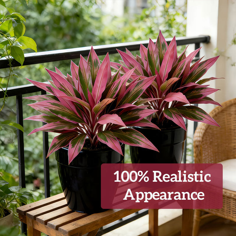 🔥Memorial Day Special Offer-LAST DAY 50% OFF! 🏡🌿Artificial Red Cordyline Ti Plant – No-Fuss Year-Round Vibrant Foliage!