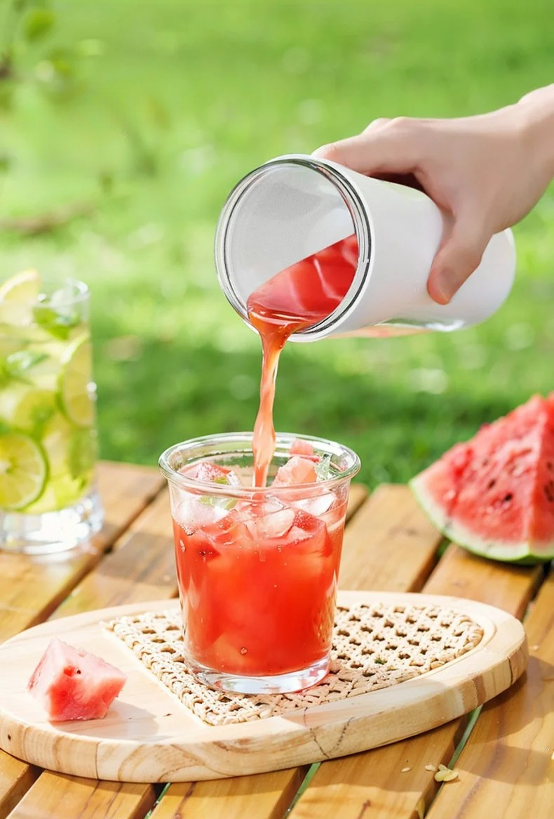 Einfach zu bedienender Haushaltsentsafter