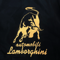 VINTAGE LAMBOthtRGHINI F1 RACING JACKET
