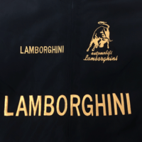 VINTAGE LAMBOthtRGHINI F1 RACING JACKET
