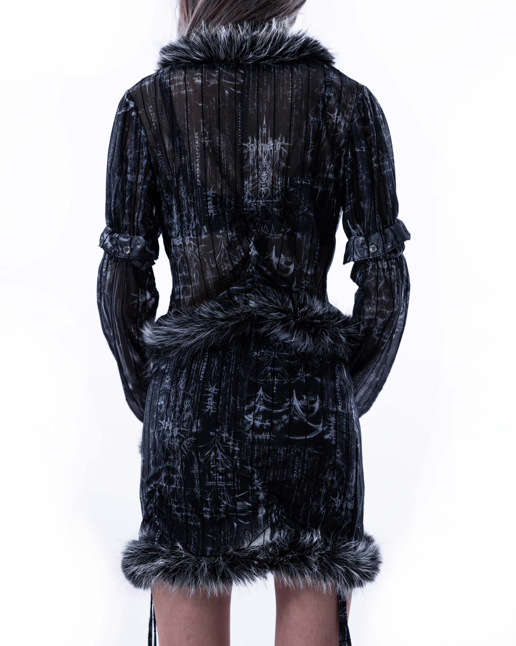 <IT's N0T BLACK & WHITE> - BLACK CYGNUS ATRATUS