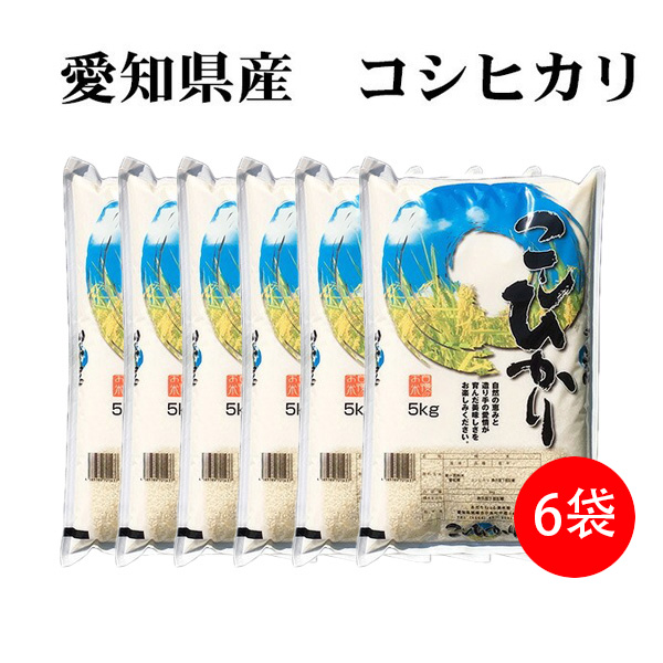 新米 白米 20kg 送料無料 コシヒカリ 5kg×4袋 愛知県産 令和6年産 コシヒカリ 米 20kg 安い 送料無料