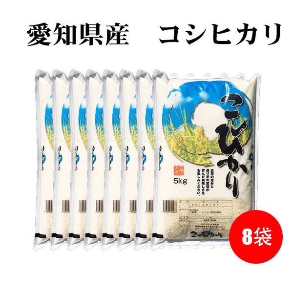新米 白米 20kg 送料無料 コシヒカリ 5kg×4袋 愛知県産 令和6年産 コシヒカリ 米 20kg 安い 送料無料