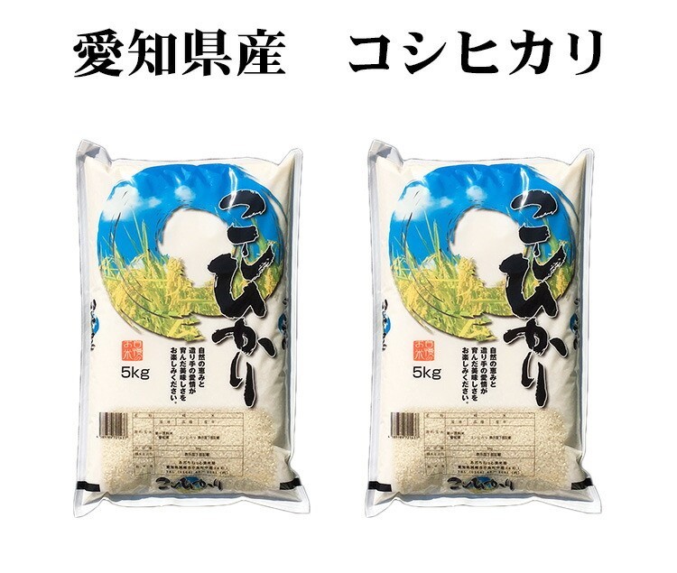 新米 白米 20kg 送料無料 コシヒカリ 5kg×4袋 愛知県産 令和6年産 コシヒカリ 米 20kg 安い 送料無料