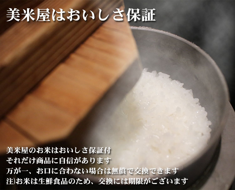 新米 白米 20kg 送料無料 コシヒカリ 5kg×4袋 愛知県産 令和6年産 コシヒカリ 米 20kg 安い 送料無料