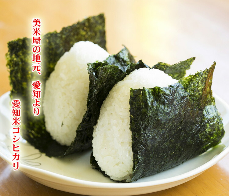 新米 白米 20kg 送料無料 コシヒカリ 5kg×4袋 愛知県産 令和6年産 コシヒカリ 米 20kg 安い 送料無料