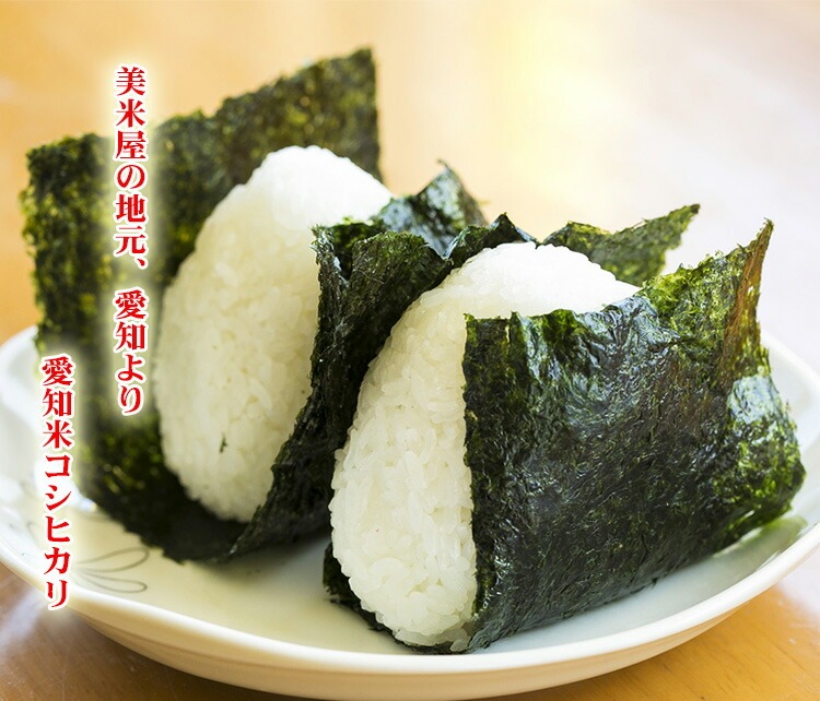 新米 白米 20kg 送料無料 コシヒカリ 5kg×4袋 愛知県産 令和6年産 コシヒカリ 米 20kg 安い 送料無料