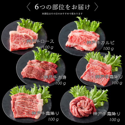 【楽天グルメ大賞受賞】2023年販売実績1万個突破！即日出荷対応 神戸牛6点食べ比べ焼肉 600ｇ【送料無料※北海道・沖縄へは+500円】神戸ビーフ お取り寄せグルメ ギフト 誕生日 プレゼント 自宅用 食べ比べ 希少部位 BBQ お中元 御中元 お歳暮 御歳暮 父の日 母の日 敬老の日