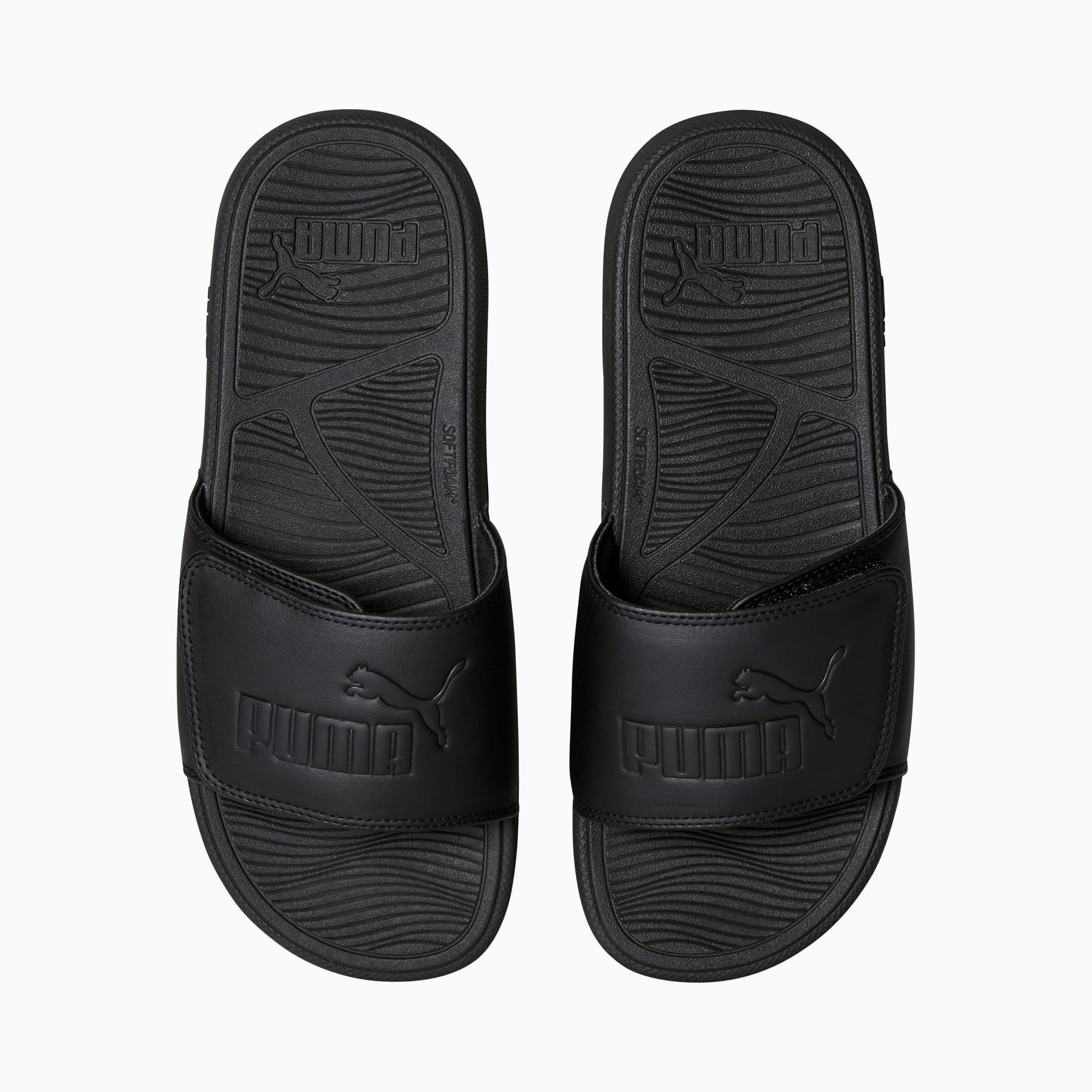 Cool Cat 2.0 Slides