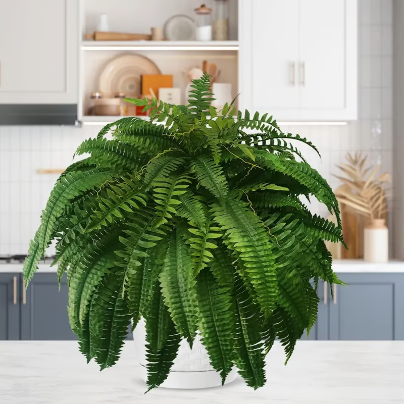 🔥 On Sale Only Today 🌱 UV Resistant Ferns Artificial Plants Large for Planters, Office & Home Decor, Outdoor & Indoor