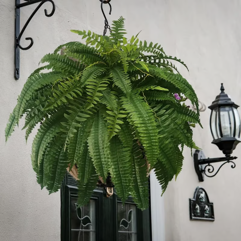 🔥 On Sale Only Today 🌱 UV Resistant Ferns Artificial Plants Large for Planters, Office & Home Decor, Outdoor & Indoor