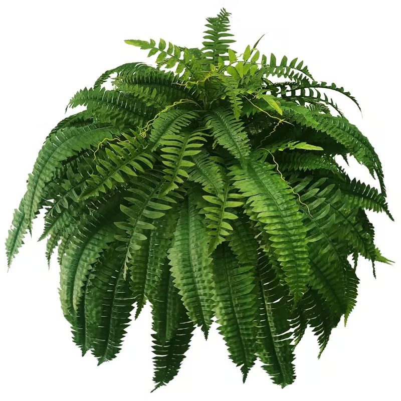 🔥 On Sale Only Today 🌱 UV Resistant Ferns Artificial Plants Large for Planters, Office & Home Decor, Outdoor & Indoor