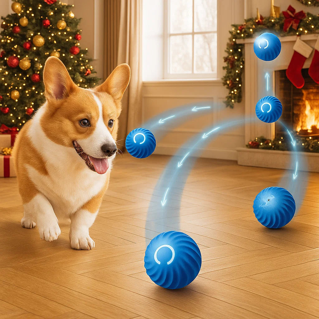 Pet Bounce Ball for Cats & Dogs