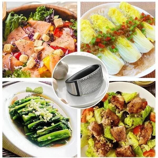 304 Stainless Steel Ring Garlic Press