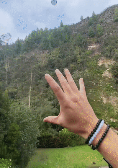 02.gif