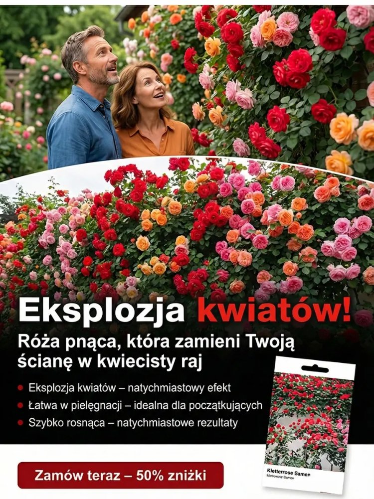 3-ec65f4634d793ed450f89b1d321735f8.jpg