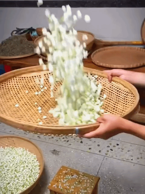 【Pachnidło Ogrodu】Nasiona jaśminu o intensywnym zapachu i pełnych kwiatach