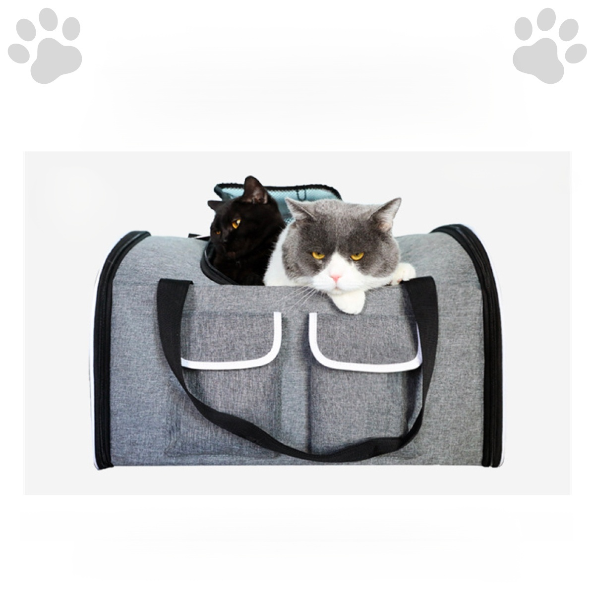 Faltbare große Reisetasche für Katzen