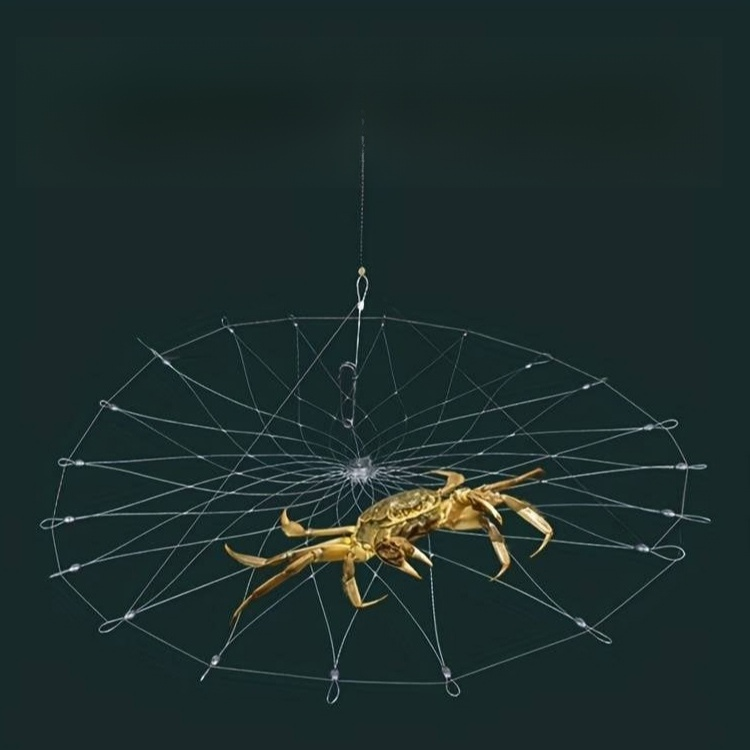 cage de pêche automatique pour crabes