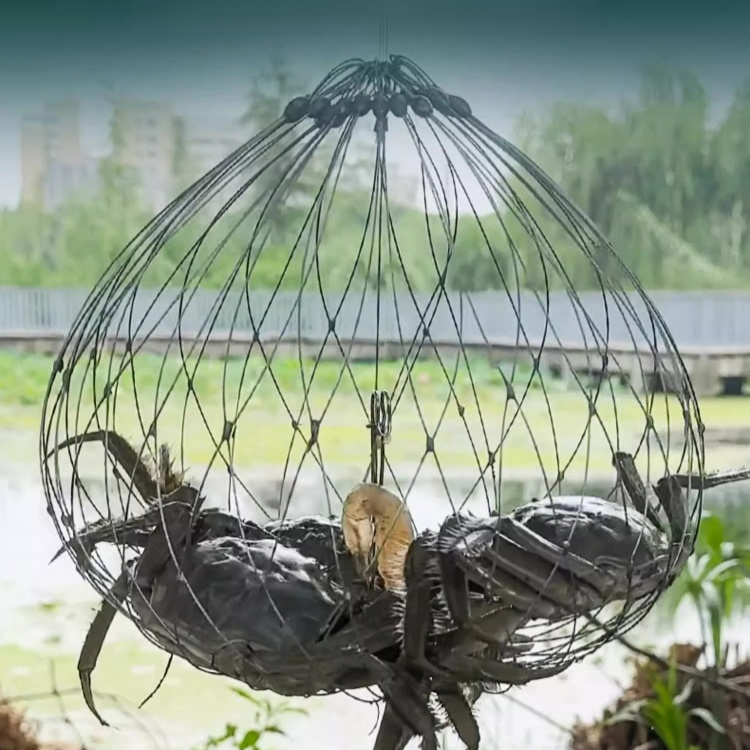 cage de pêche automatique pour crabes