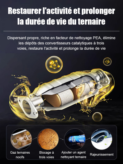 【Nettoyage de Carbone】Additif de Carburant 2 en 1