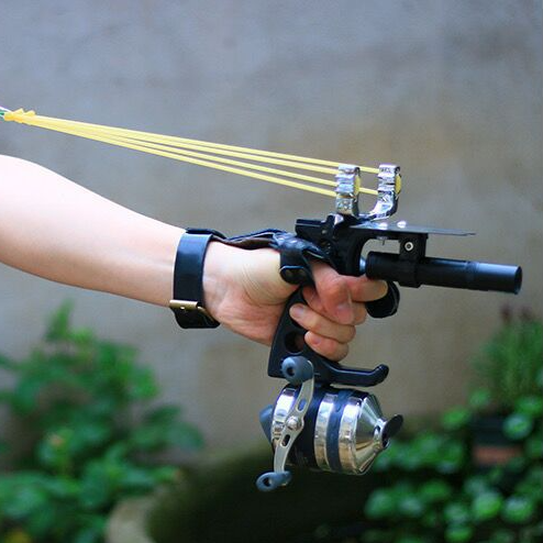 équipement de prise de vue de poissons infrarouge