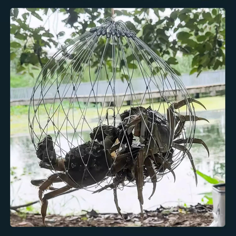 cage de pêche automatique pour crabes