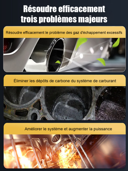 【Nettoyage de Carbone】Additif de Carburant 2 en 1