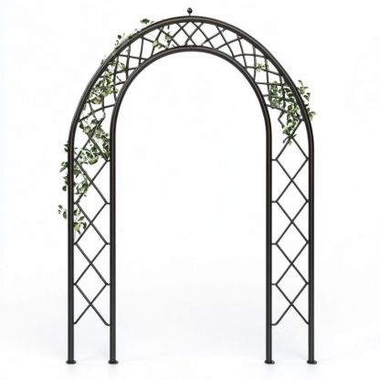 Arche de jardin extérieure élégante en métal noir avec treillis, idéale pour plantes grimpantes