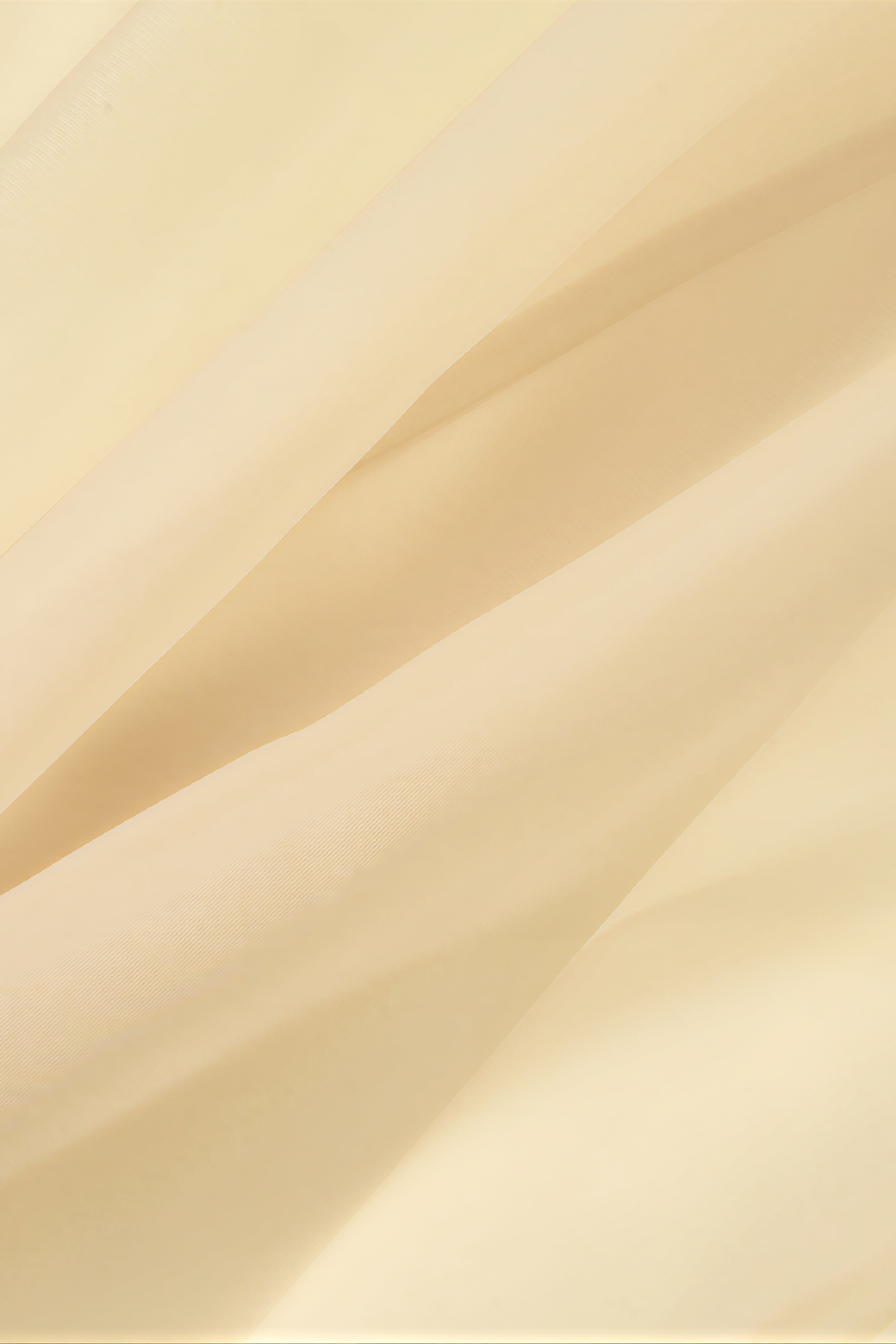 Printed A-Line Midi Tulle Skirt