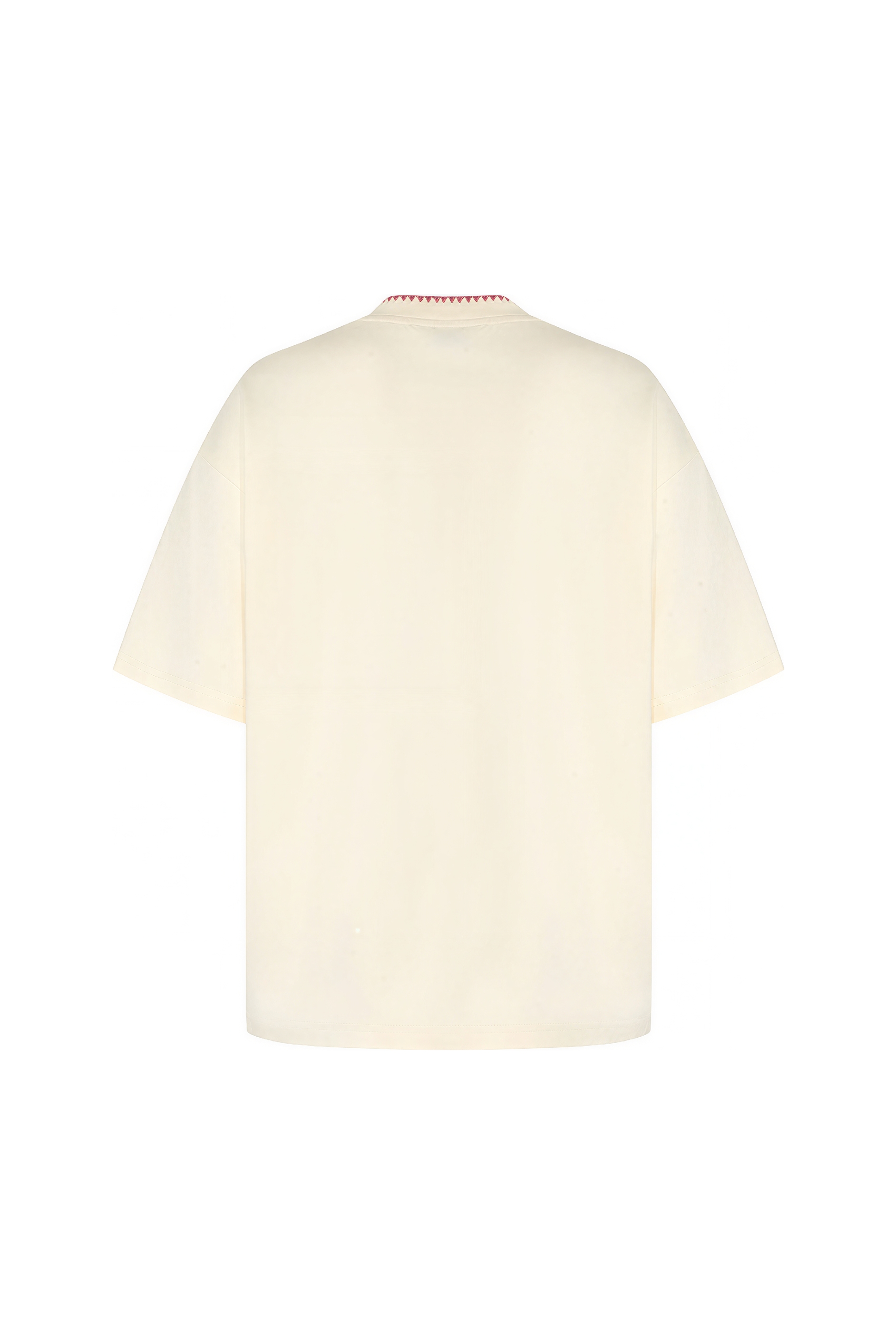 Designer Small V-Neck Relaxed T-Shirt | LYONSENS Women's Fashion