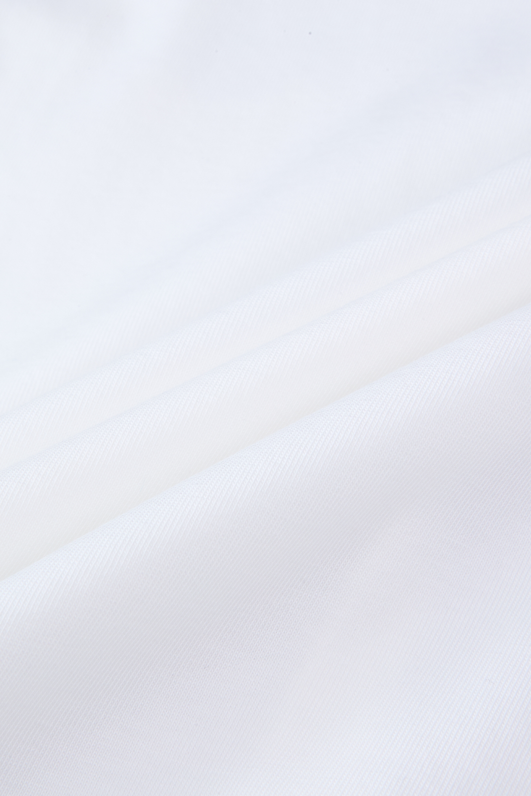 Peter Pan Collar Printed T-Shirt