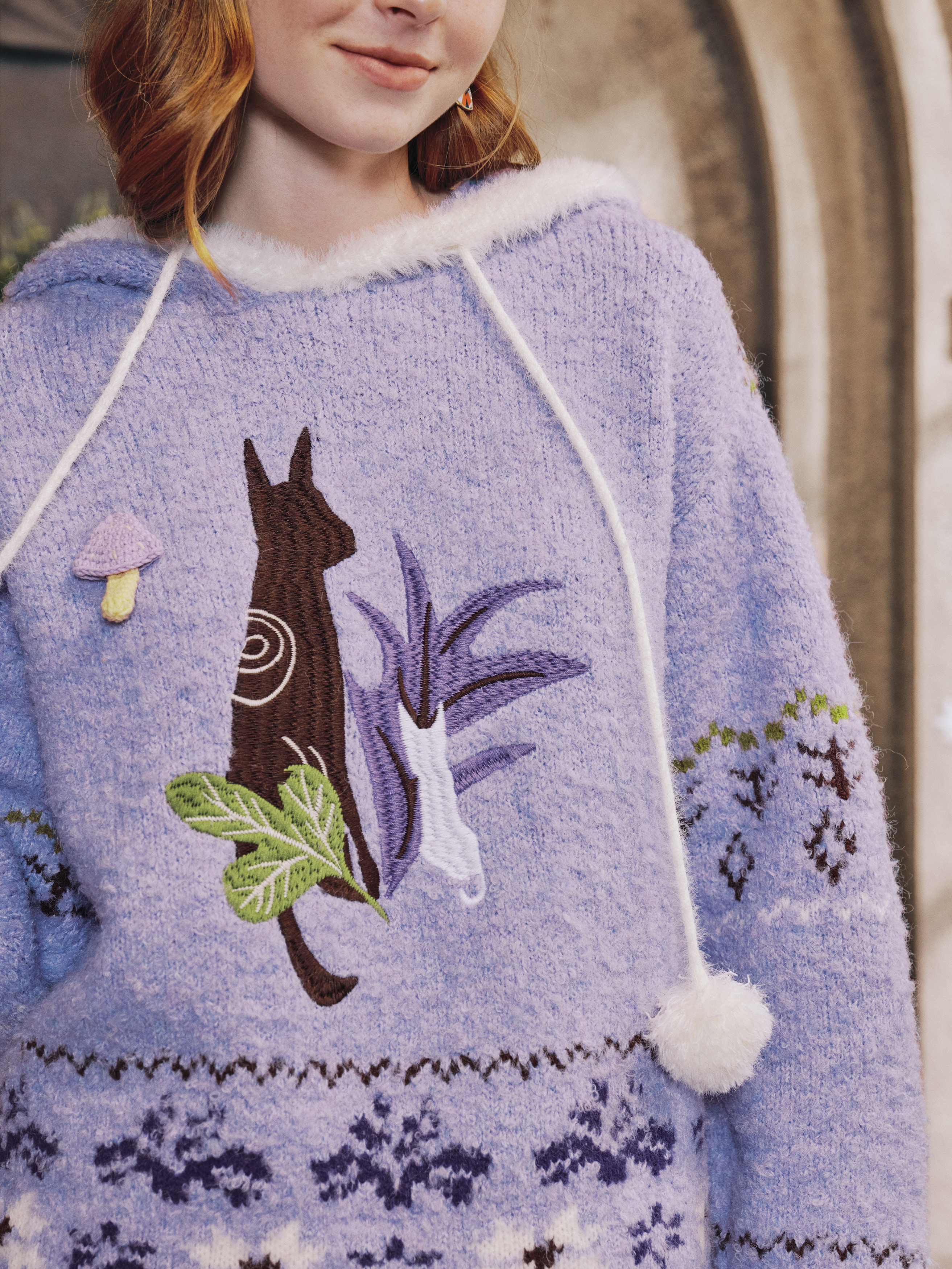Soft Hooded Sweater