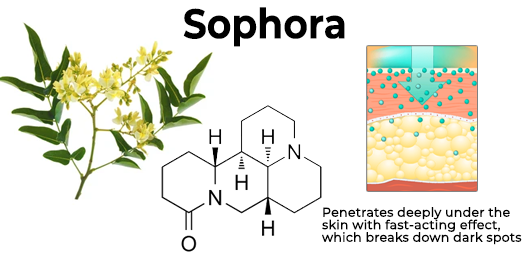 ✅✅Medazy™ Bee Lixir Wart Remover Ointment