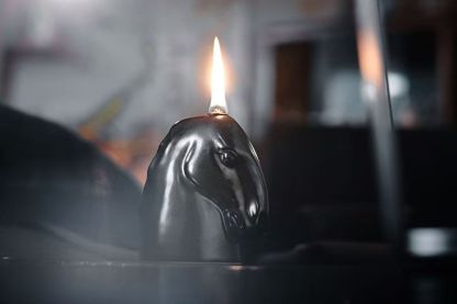 Horse head lamp