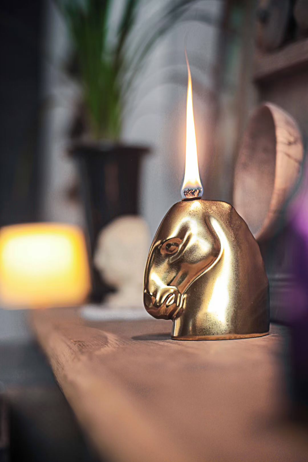 Horse head lamp