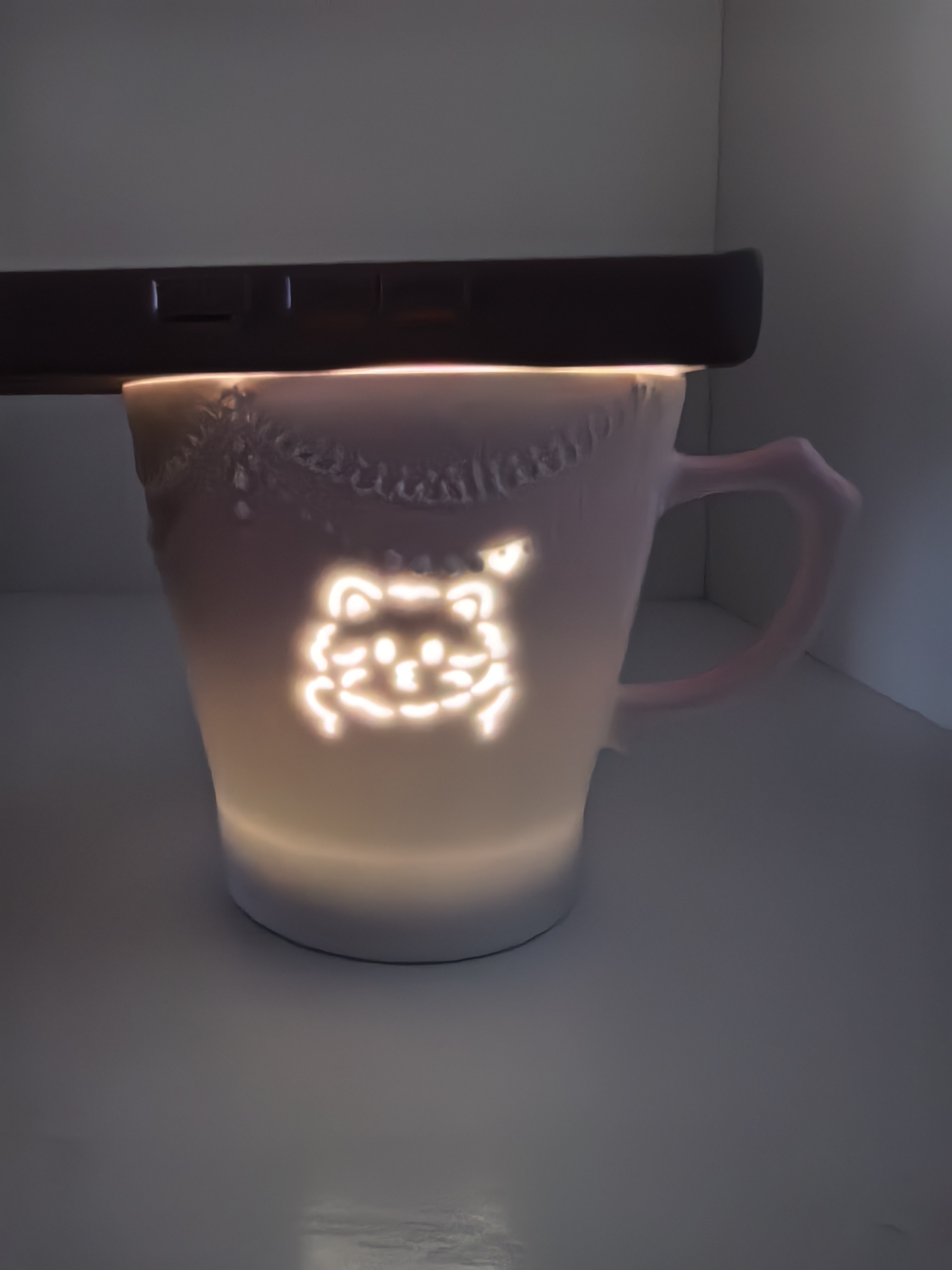 Butterflies and cats