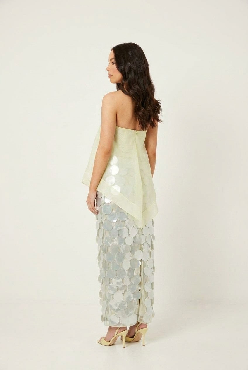 Strapless Organza & Sequin Maxi Dress